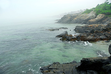 Image showing Foggy coast of Maine