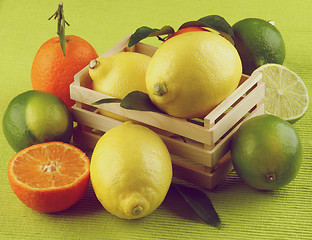 Image showing Citrus Mix