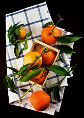 Image showing Tangerines