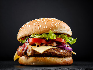 Image showing fresh tasty burger