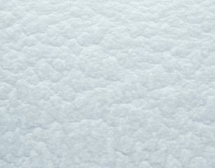 Image showing fresh snow