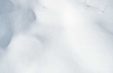 Image showing fresh snow