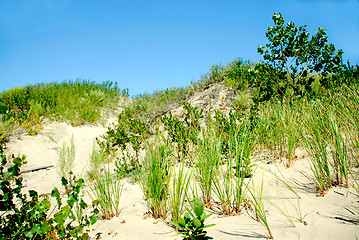 Image showing Sand dunes