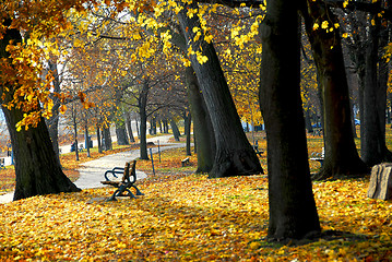 Image showing Autumn park