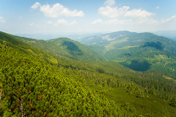 Image showing Beautiful meadows on  mountains