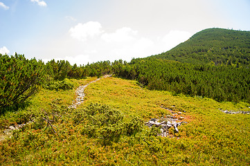 Image showing Beautiful meadows on  mountains