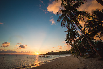 Image showing Sunset over the tropical beach. 