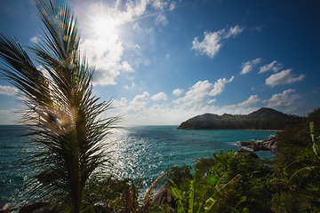 Image showing Sunset over the tropical beach. 