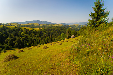 Image showing Beautiful meadows on  mountains