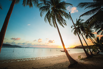 Image showing Sunset over the tropical beach. 
