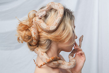 Image showing Beautiful girl and the snake Boa constrictors, which wraps around her face