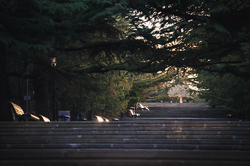 Image showing Entrance alley of the amusement park, Tbilisi, Georgia