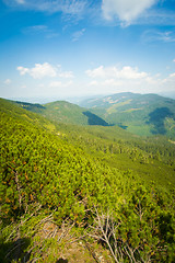 Image showing Beautiful meadows on  mountains