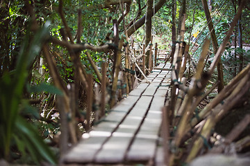 Image showing Wooden bridge in the forest