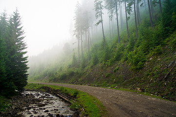 Image showing Beautiful pine trees on  mountains