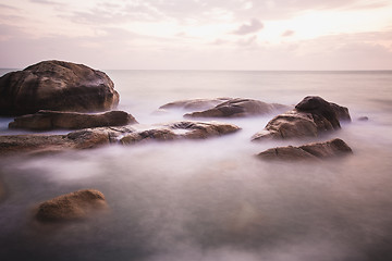 Image showing The rocky shore or beach 