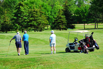 Image showing Seniors golfing