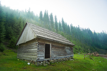 Image showing Beautiful pine trees on  mountains