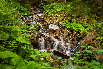 Image showing Beautiful mountain stream on  mountains