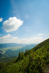 Image showing Beautiful meadows on  mountains