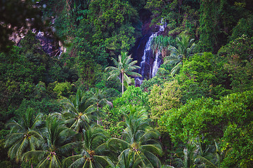 Image showing Deep forest Waterfall in Thailand