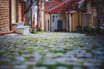 Image showing The paving stones overgrown with grass.