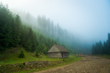 Image showing Beautiful pine trees on  mountains