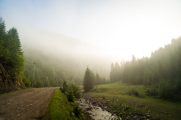 Image showing Beautiful pine trees on  mountains