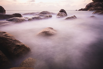 Image showing The rocky shore or beach 