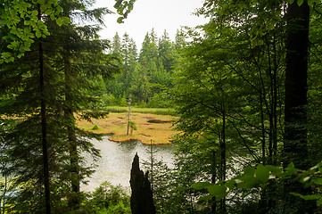 Image showing Beautiful lake in  mountains