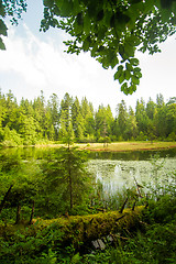 Image showing Beautiful lake in  mountains