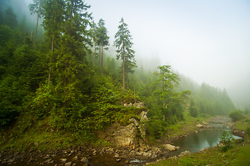 Image showing Beautiful pine trees on  mountains