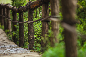 Image showing Suspension bridge in the forest