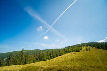 Image showing Beautiful pine trees on  mountains