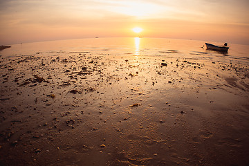 Image showing Sunset over the tropical beach. 