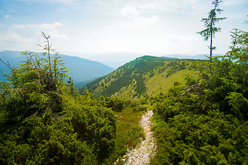 Image showing Beautiful meadows on  mountains