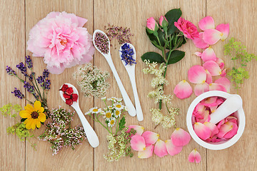 Image showing Medicinal Healing Herbs and Flowers