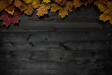 Image showing Wood autumn background