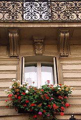 Image showing Paris windows