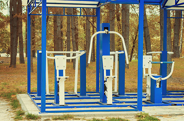 Image showing Athletic trainers in a clearing among the trees.