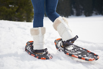 Image showing couple having fun and walking in snow shoes