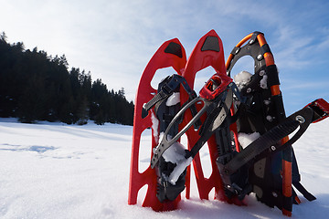 Image showing winter snowshoes