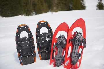 Image showing winter snowshoes