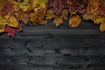 Image showing Wood autumn background