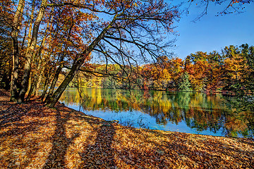 Image showing Forest along Lake in the autumn, HDR image