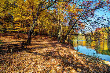 Image showing Forest along Lake in the autumn, HDR image