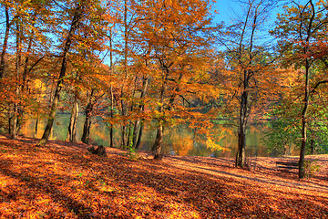 Image showing Forest along Lake in the autumn, HDR image