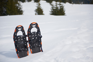 Image showing winter snowshoes