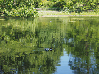 Image showing St James Park in London