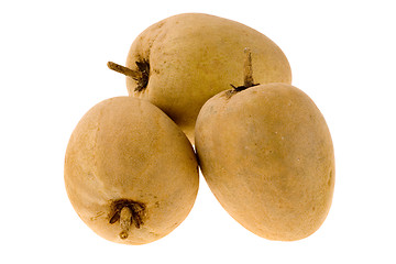 Image showing Tropical fruit - Chiku

